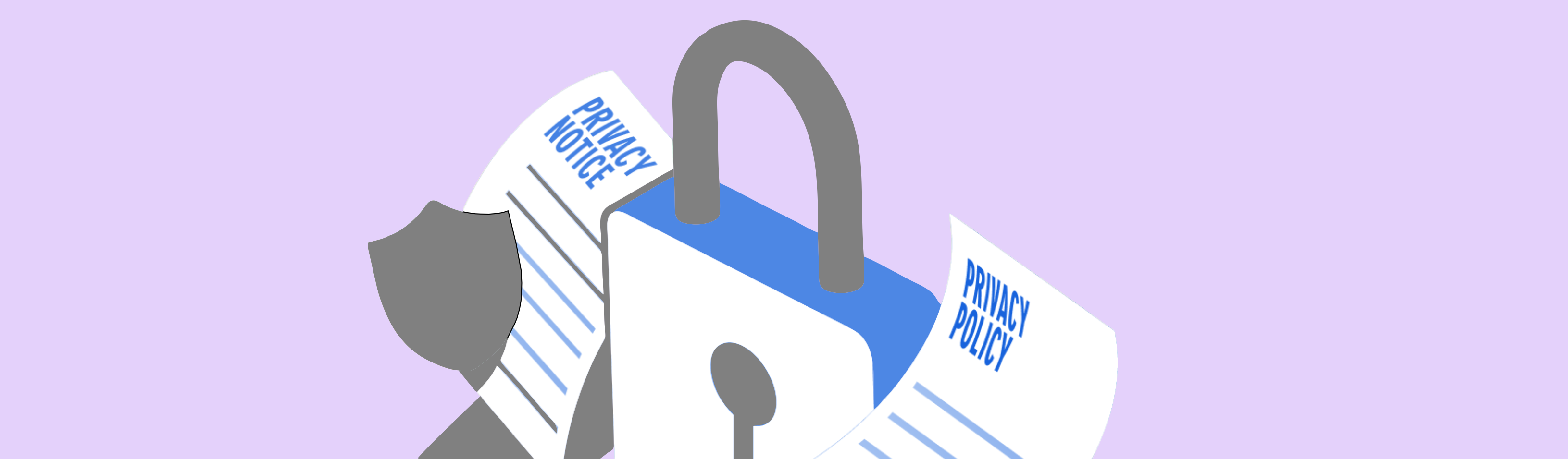 Privacy Policy
